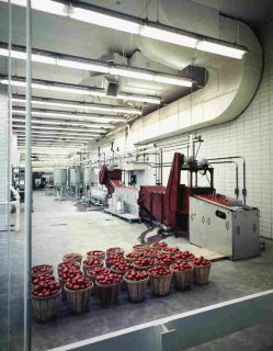 Heinz Factory, Skidmore, Owings & Merrill, Pittsburgh, Pa., 1958