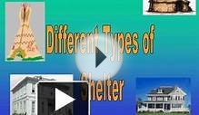 Different Types of