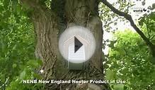 The Wildlife World NENB New England Nest Box Short Product